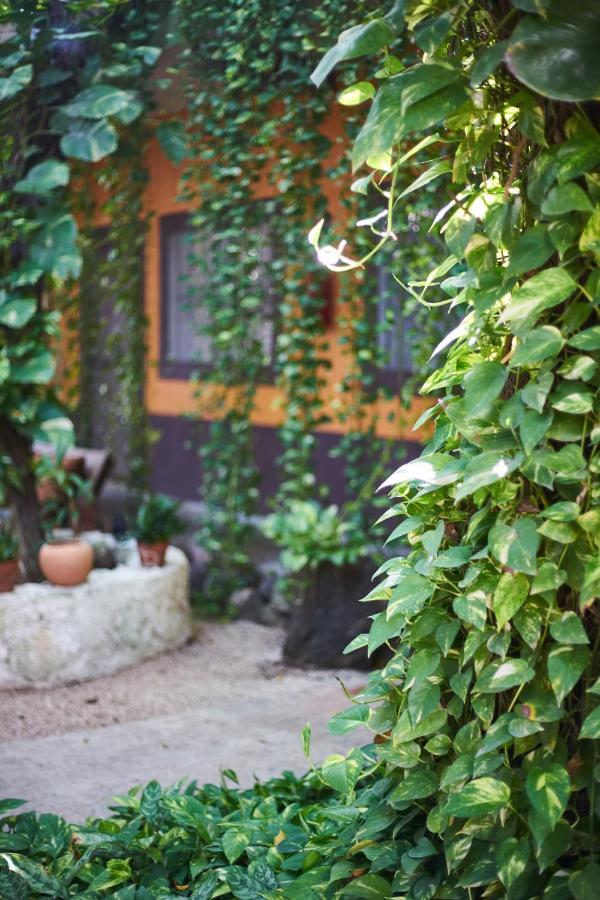 Secret Garden Tulum Hotel ภายนอก รูปภาพ